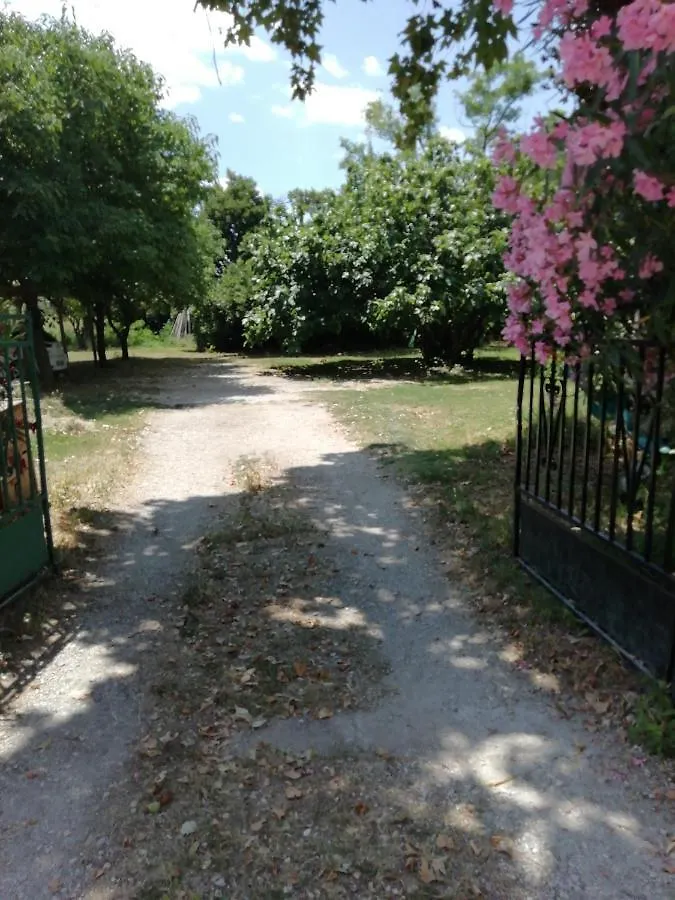 Bed & Breakfast Chambre D'Hote - Mas Le Barret Arles