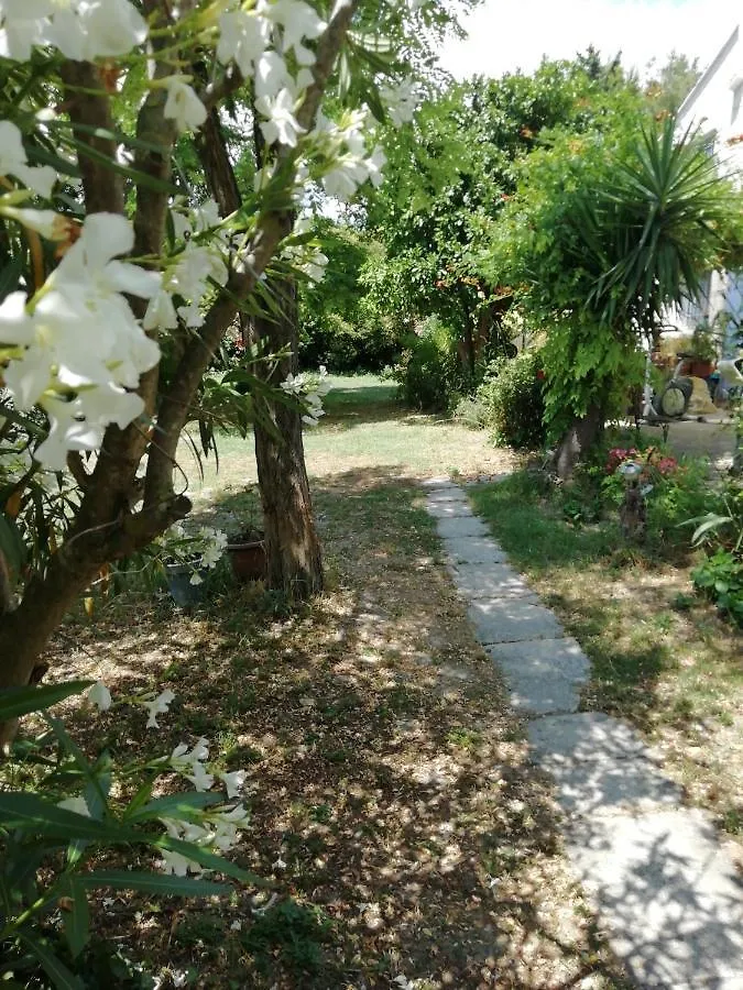 Chambre D'Hote - Mas Le Barret Arles 0*,